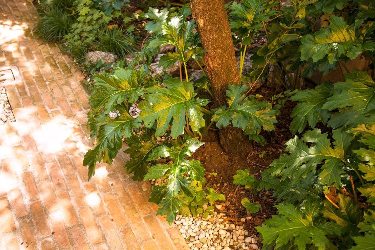 Urban Jungle Apartment โบโลญญา ภายนอก รูปภาพ