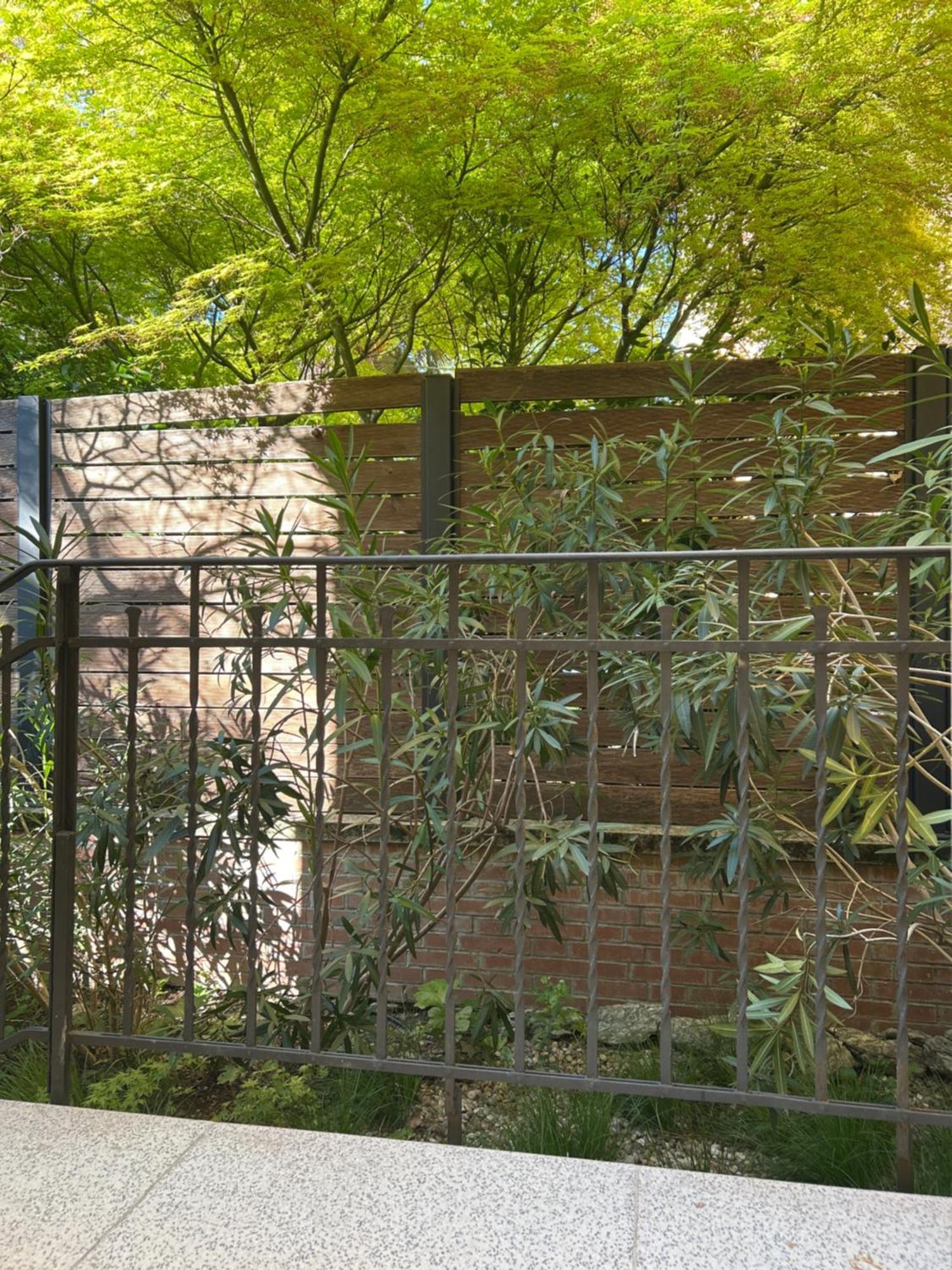 Urban Jungle Apartment โบโลญญา ภายนอก รูปภาพ